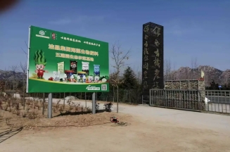 山東潔晶集團總裁、市人大代表林成彬建言日照茶產業提質增效